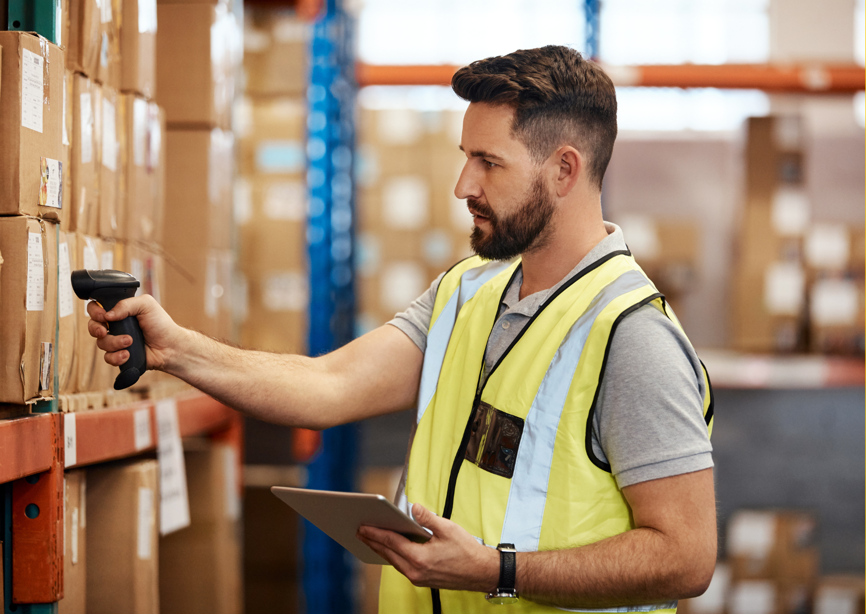 ליקוט ואריזה